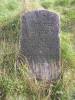 "Here lies the unmarried woman, the late Malkah Reizol daughter of R. Pesach Dov Ezra.  She died 17 day Adar ! [year not visible/extant]." (szpekh@cwu.edu)